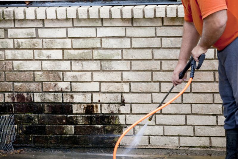 Brick Cleaning