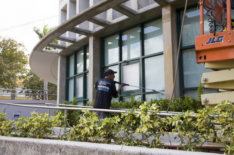 Detailing and Spot Cleaning