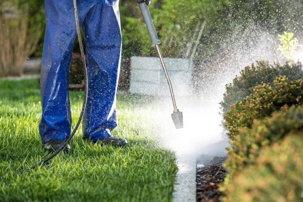 Curb Cleaning in Dawsonville