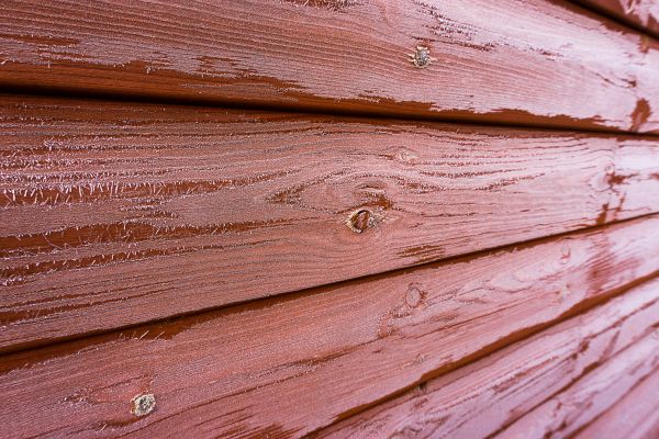 Cedar Siding Cleaning in Dawsonville