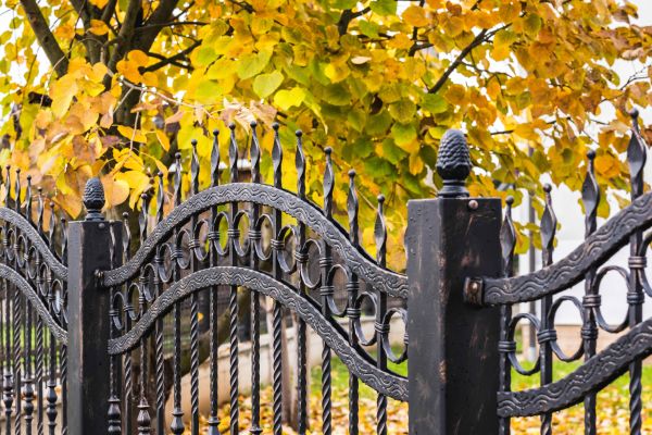 Wrought Iron Fence Washing in Dawsonville