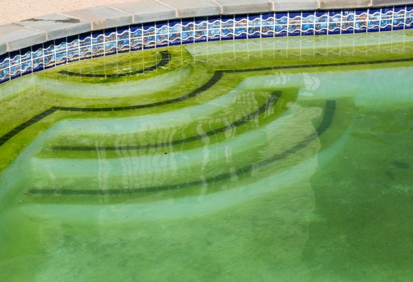 Pool Deck Algae Removal in Dawsonville