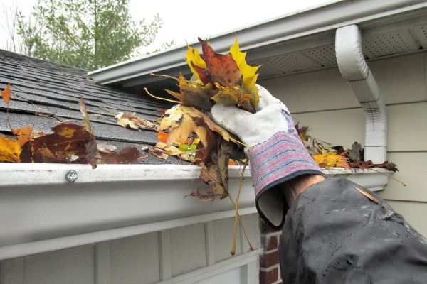 Eaves Cleaning in Dawsonville